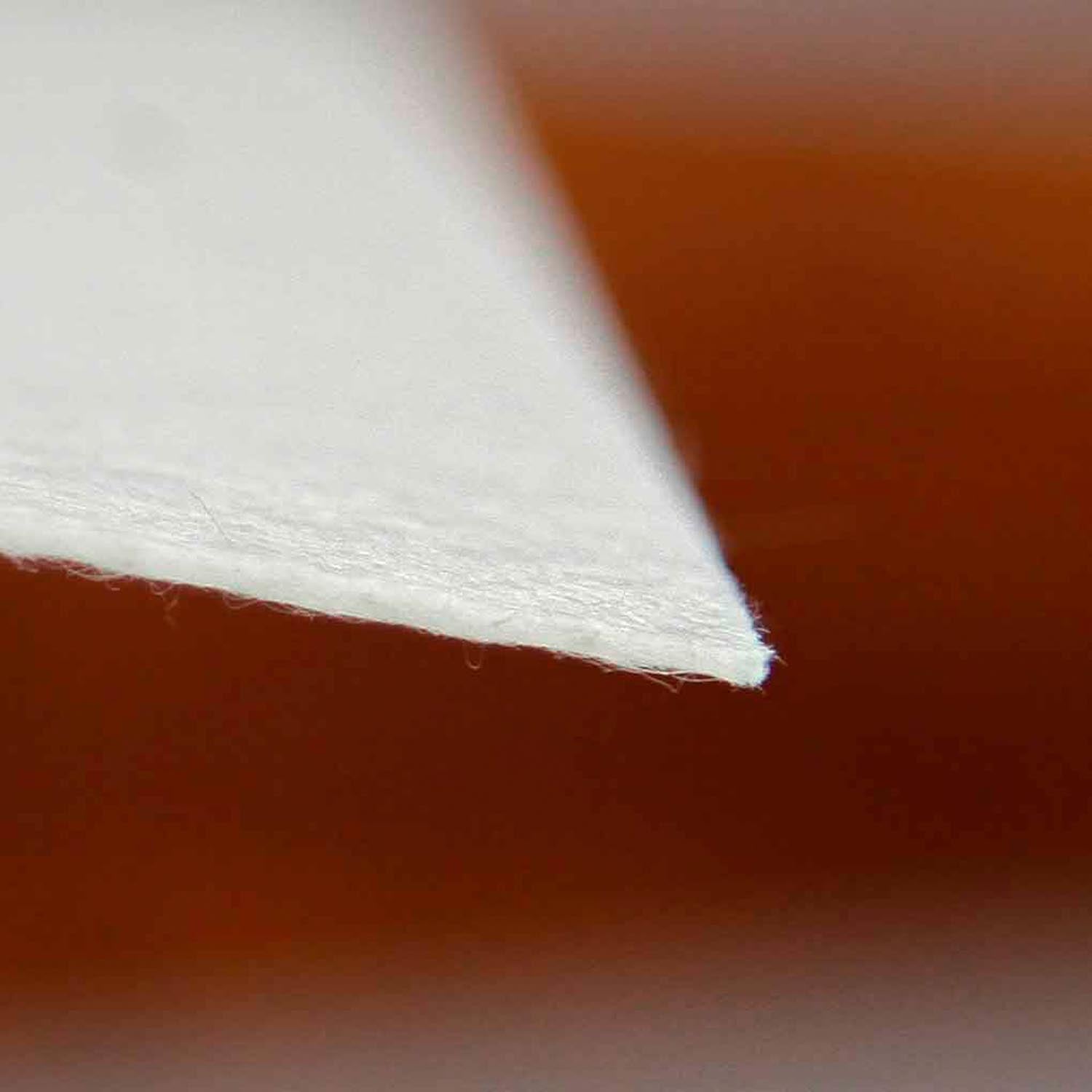 Pro Vlies 50m Rolle, 2,20mx50m, 110m²