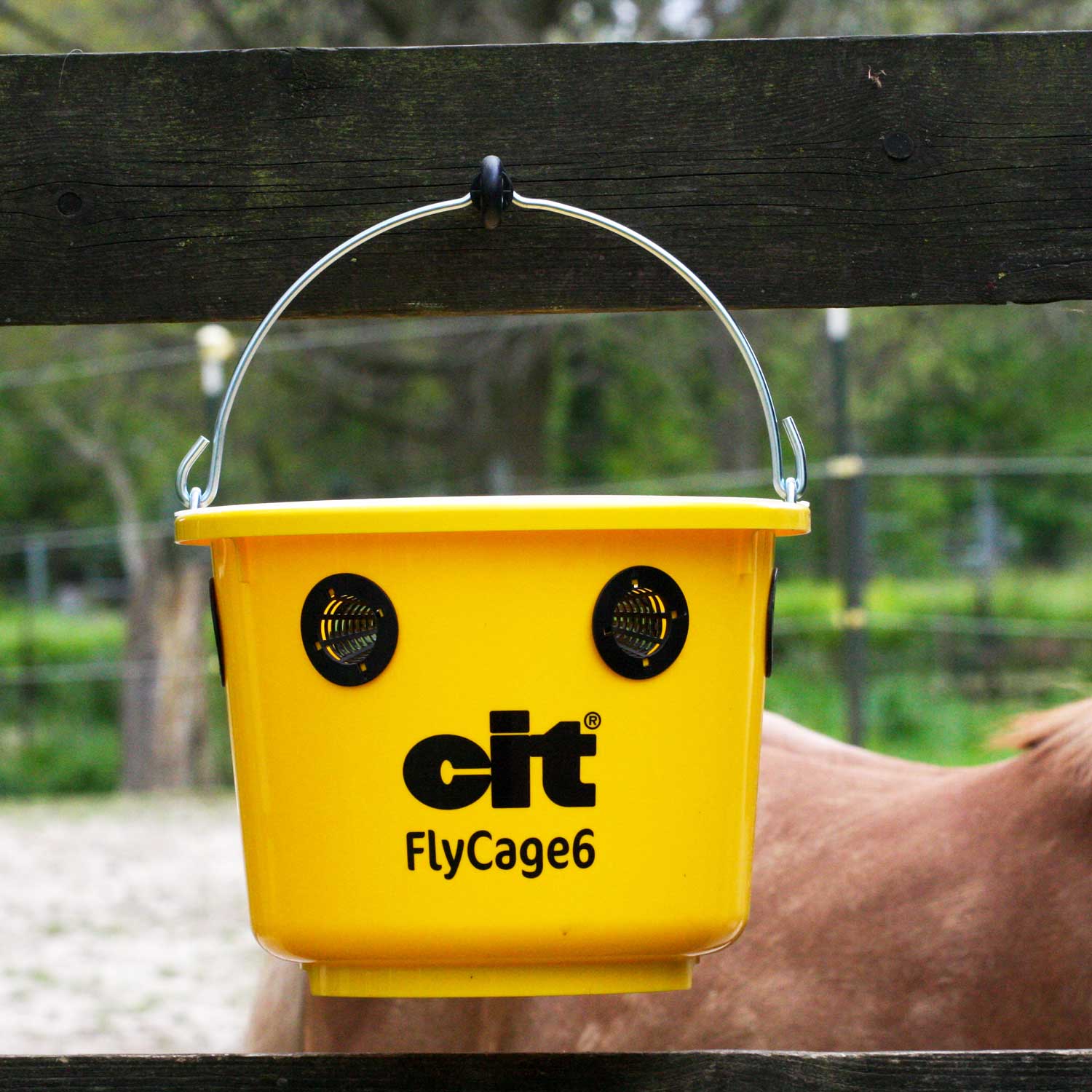 cit Fliegenfalle FlyCage6 - Komplettset inkl. Lockstoff