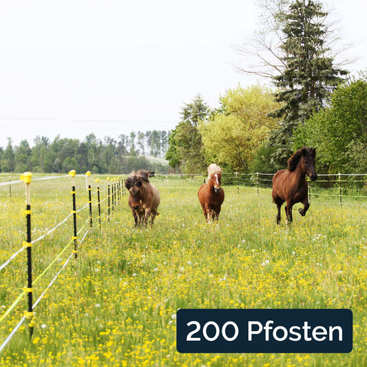 200x Metallpfahl T-Pfosten 167cm, ohne Isolatoren