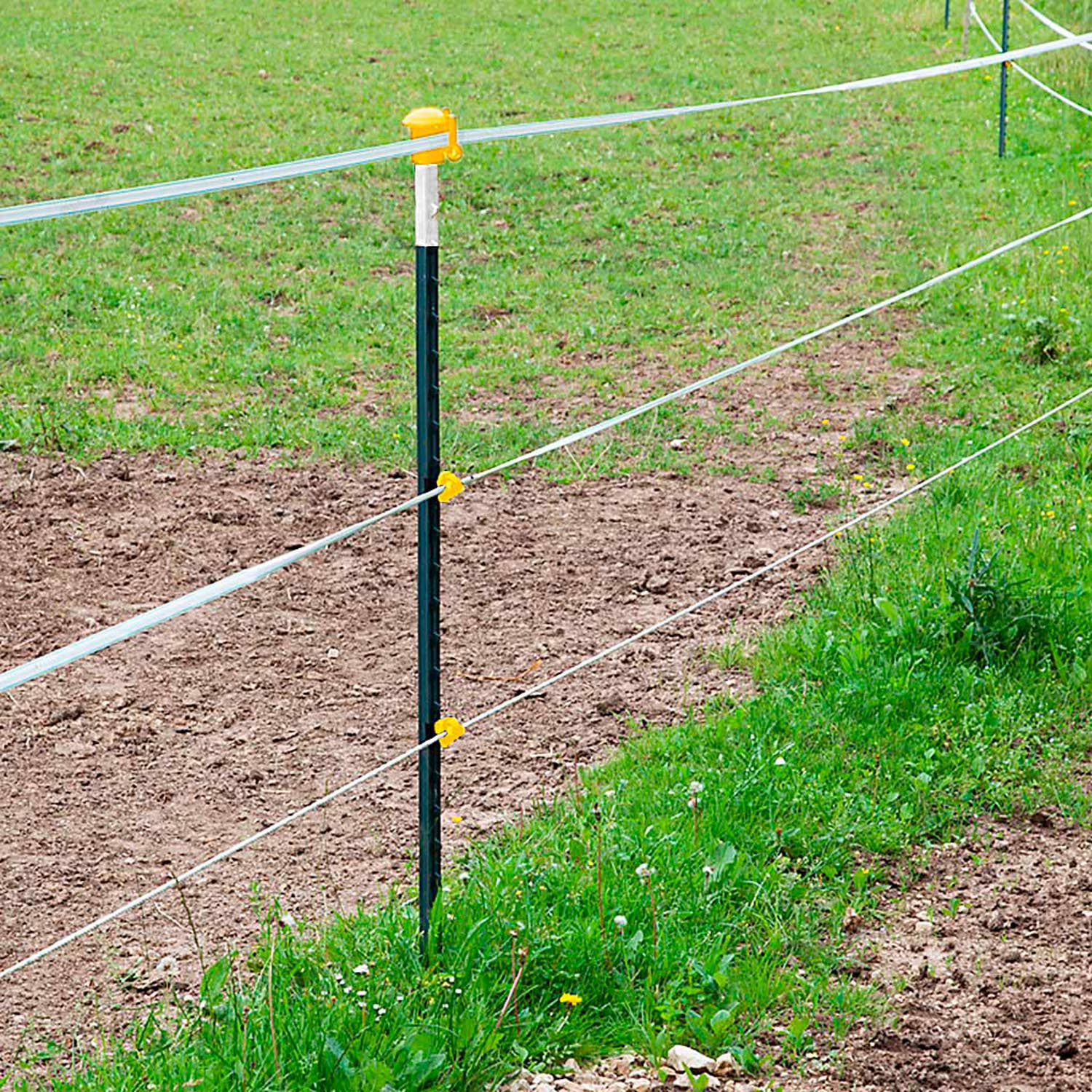 Metallpfahl T-Pfosten 182cm, ohne Isolatoren