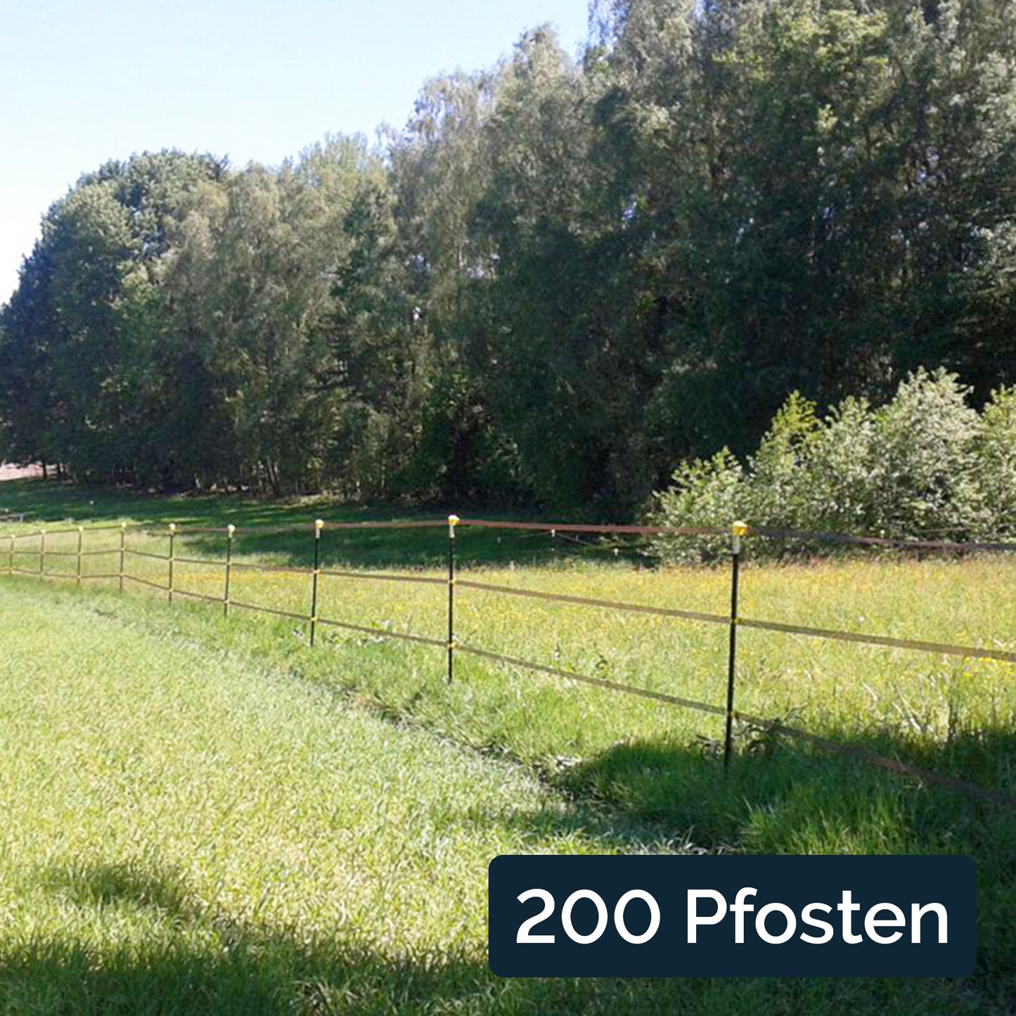 200x Metallpfahl T-Pfosten 182cm, ohne Isolatoren