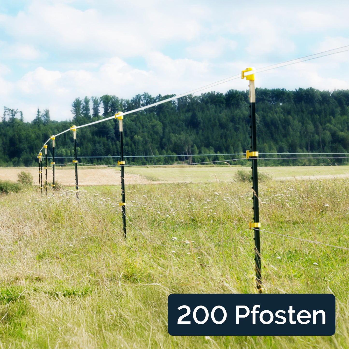 200x Metallpfahl T-Pfosten 213cm, ohne Isolatoren