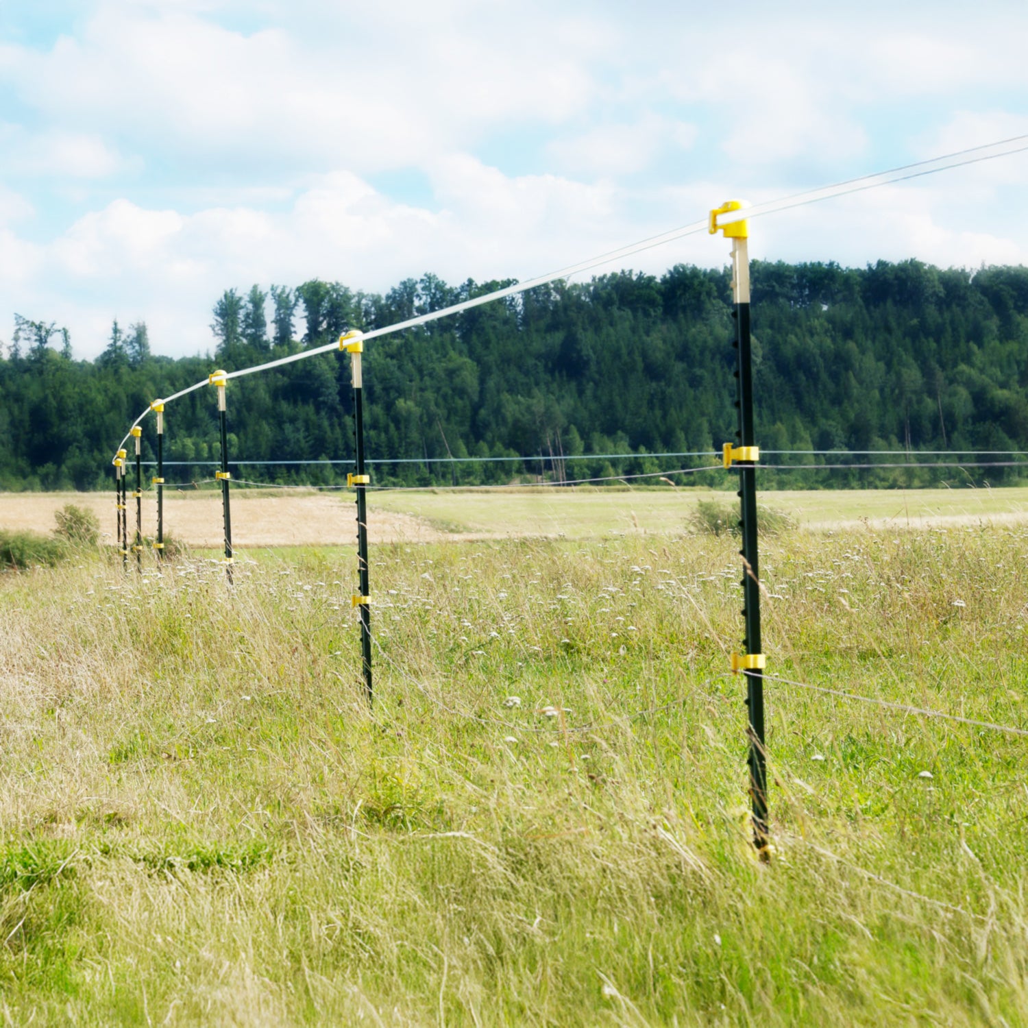 Metallpfahl T-Pfosten 213cm, ohne Isolatoren