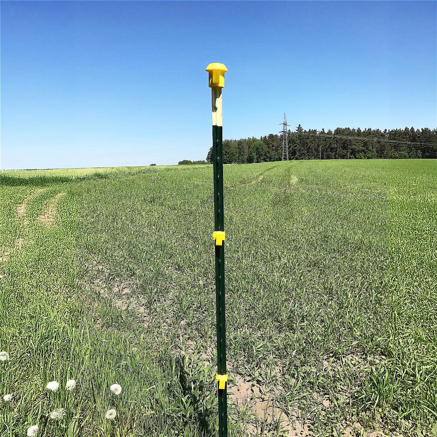 Metallpfahl T-Pfosten 213cm