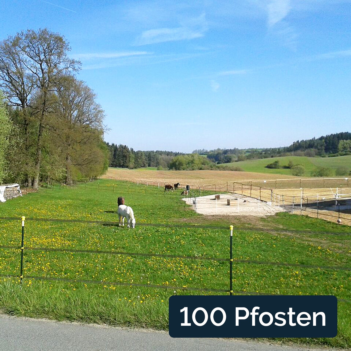 100x Metallpfahl T-Pfosten 182cm, ohne Isolatoren