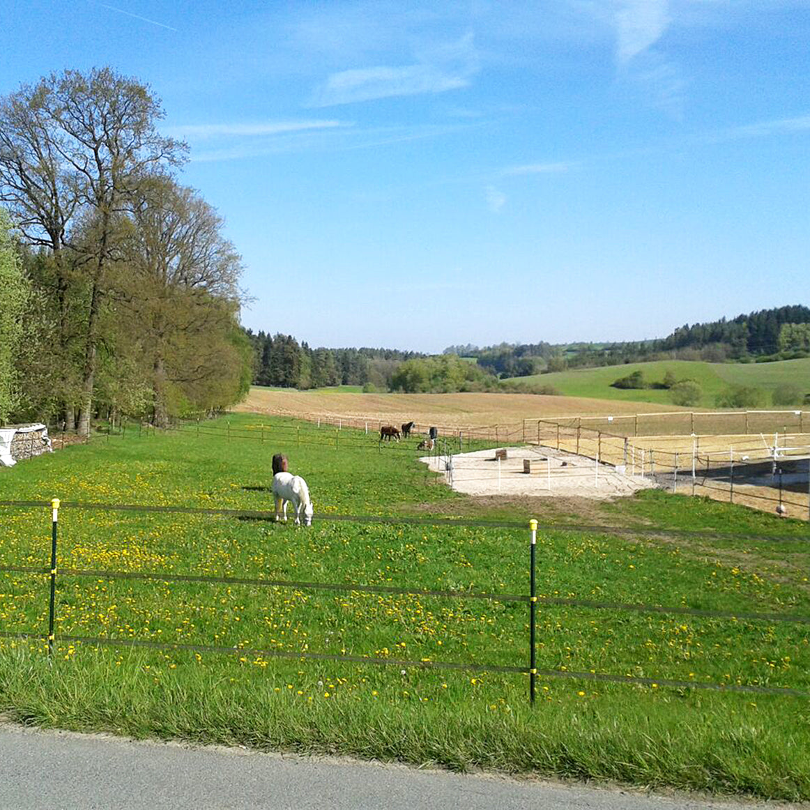 Metallpfahl T-Pfosten 182cm, ohne Isolatoren