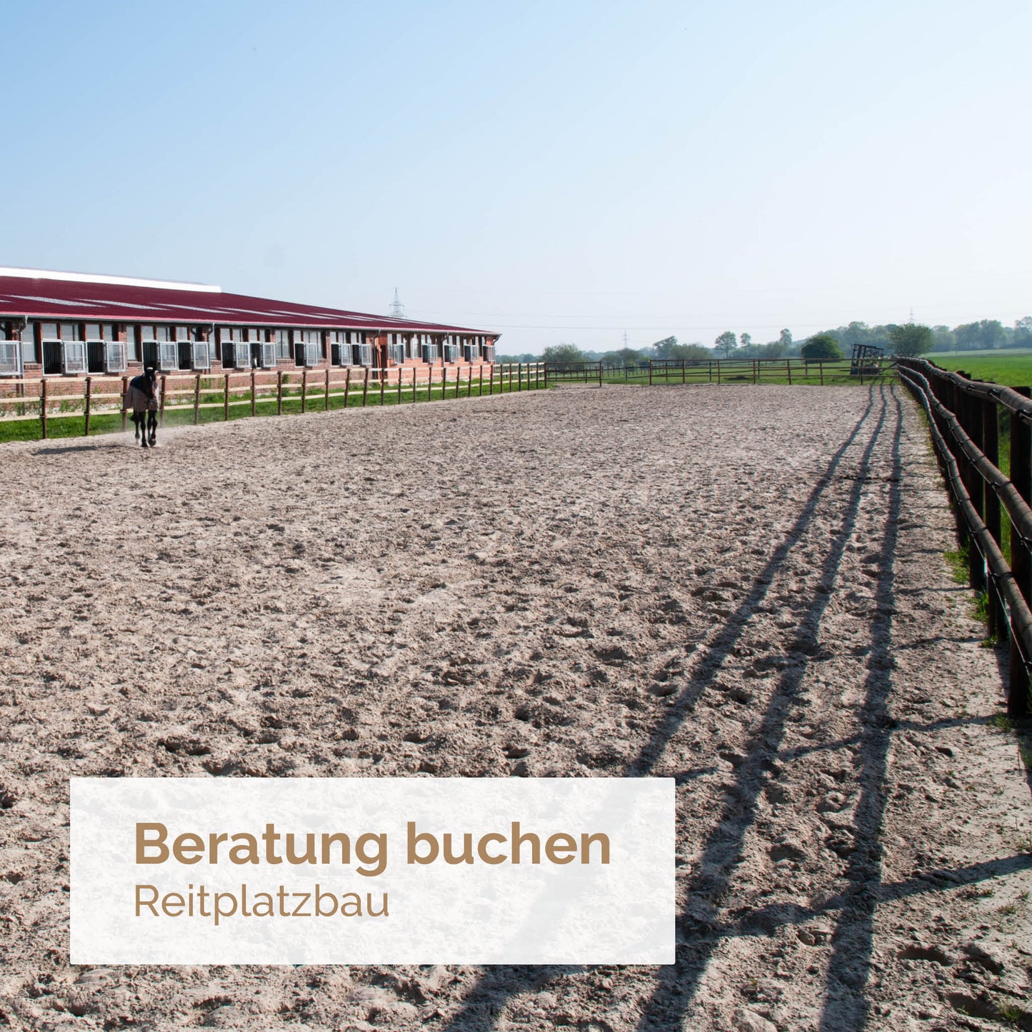 Beratung buchen: Reitplatzbau