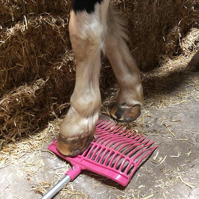 Mistgabel / Bollengabel in verschiedenen Farben