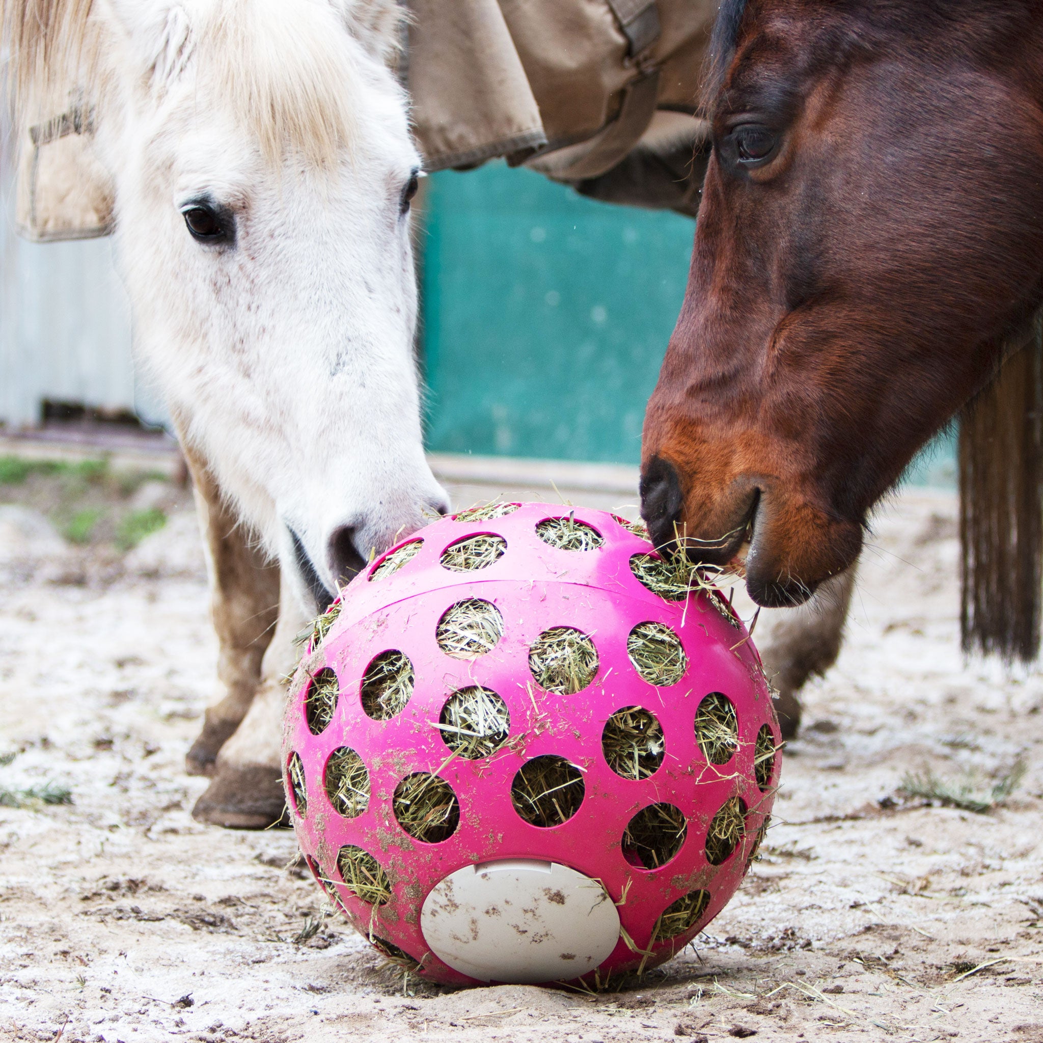 Dr. Hentschel Heuball in verschiedenen Farben