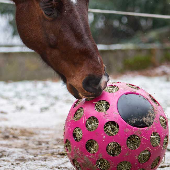 Dr. Hentschel Heuball in verschiedenen Farben