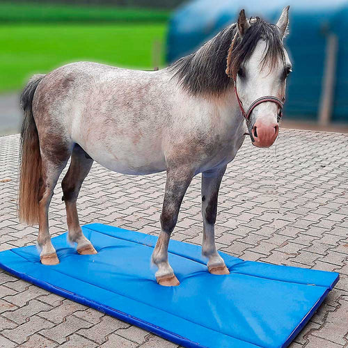 Hufmatte zum Wässern der Hufe, Maße: 180x90cm