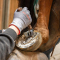 Hufmesser ProfiLoop mit Schlaufenklinge und Holzgriff