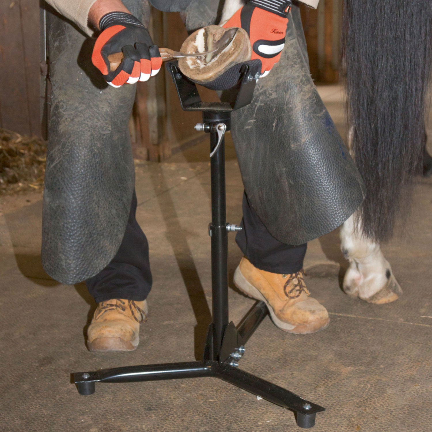 Hufbock EcoFlex für Vorder- und Hinterhuf - höhenverstellbar