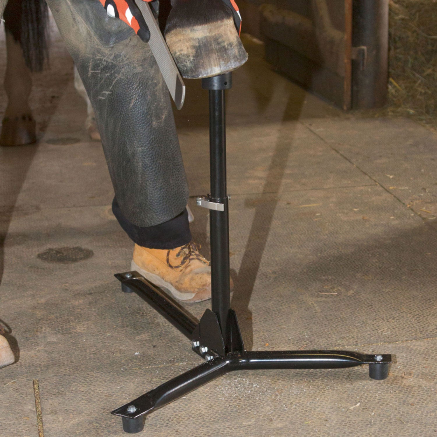 Hufbock EcoFlex für Vorder- und Hinterhuf - höhenverstellbar