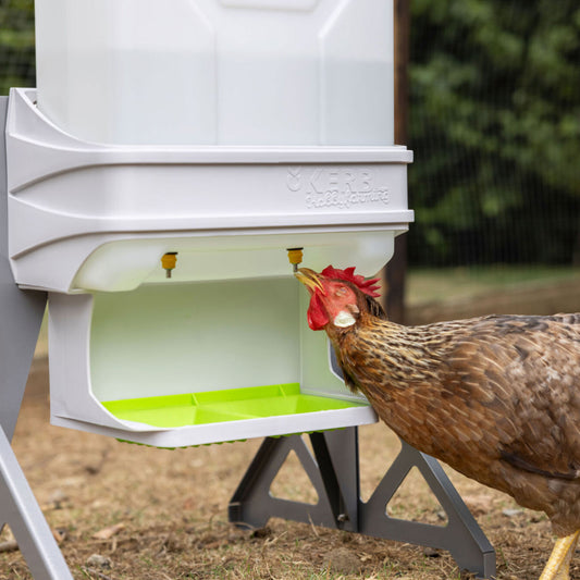 SmartCoop Geflügeltränke mit 10 Liter