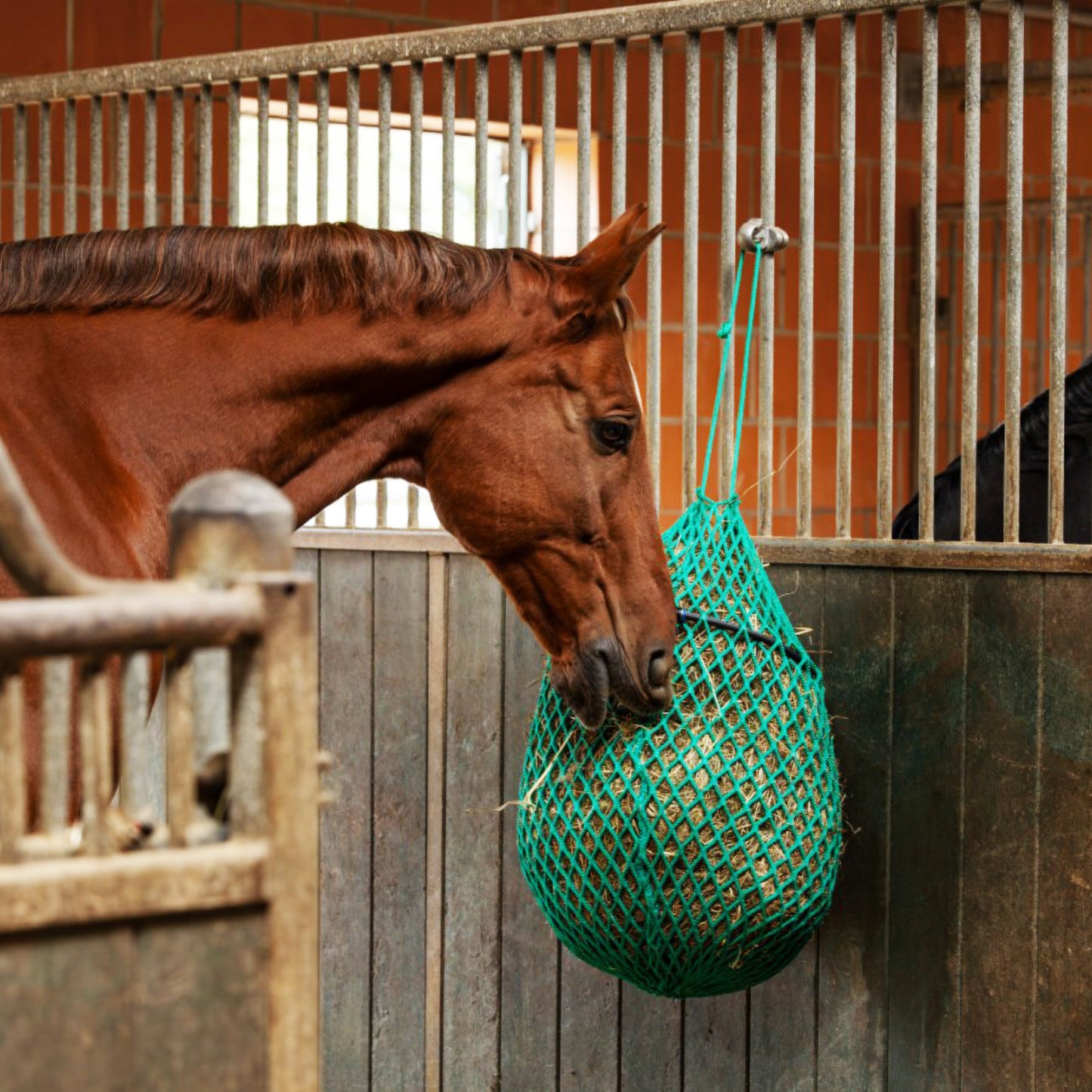 Heunetz mit Ring, verschiedene Größen