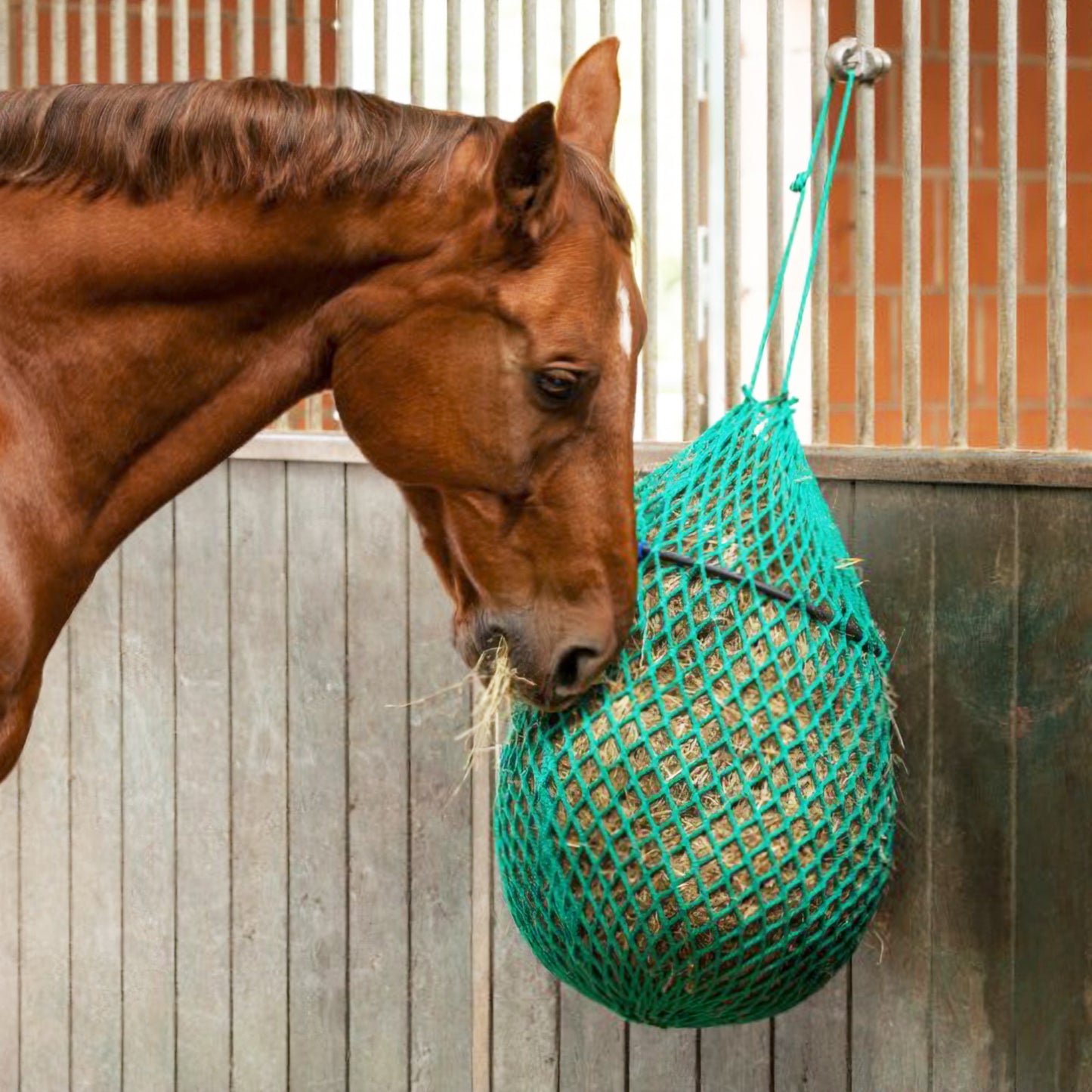 Heunetz mit Ring, verschiedene Größen