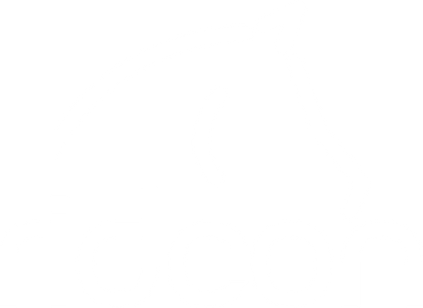 Ridcon GmbH 