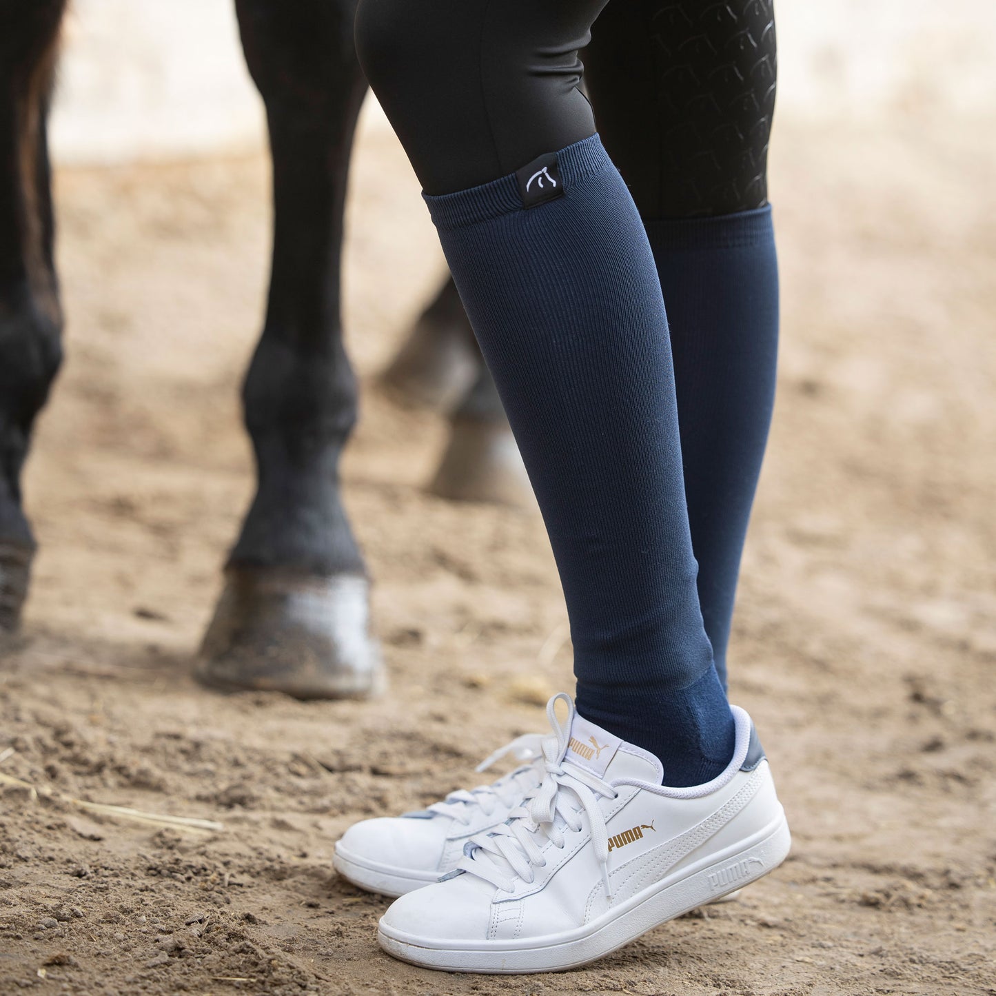 RIDCON Reitsocken in verschiedenen Farben und Größen