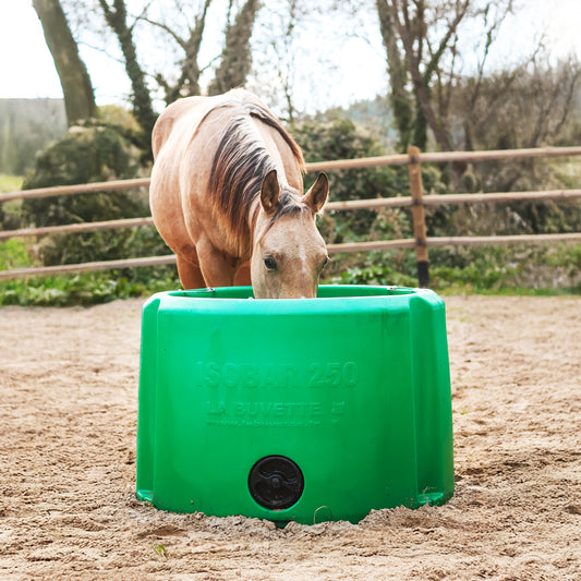 Weidetränke ISOBAR mit 250 Liter