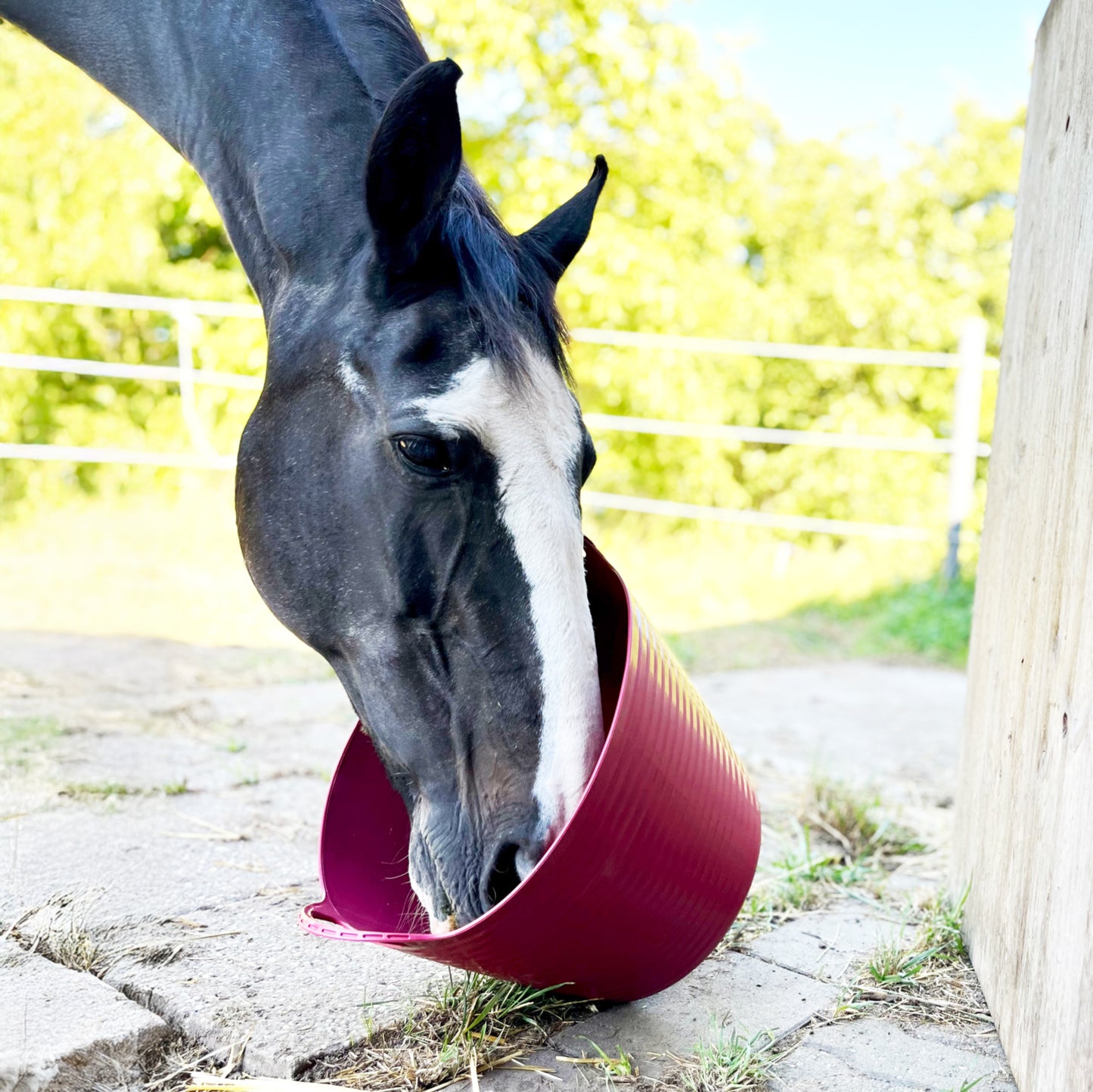 Flexibler Trog - 28 Liter - verschiedene Farben