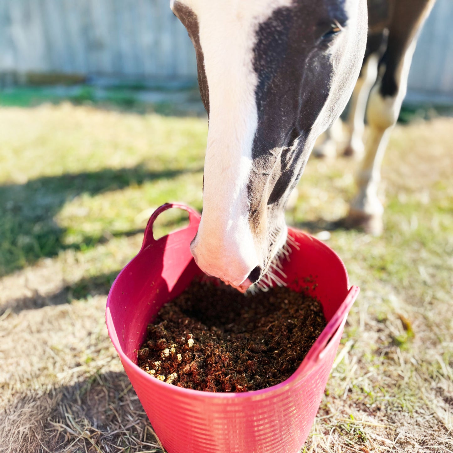 Flexibler Trog - 28 Liter - verschiedene Farben