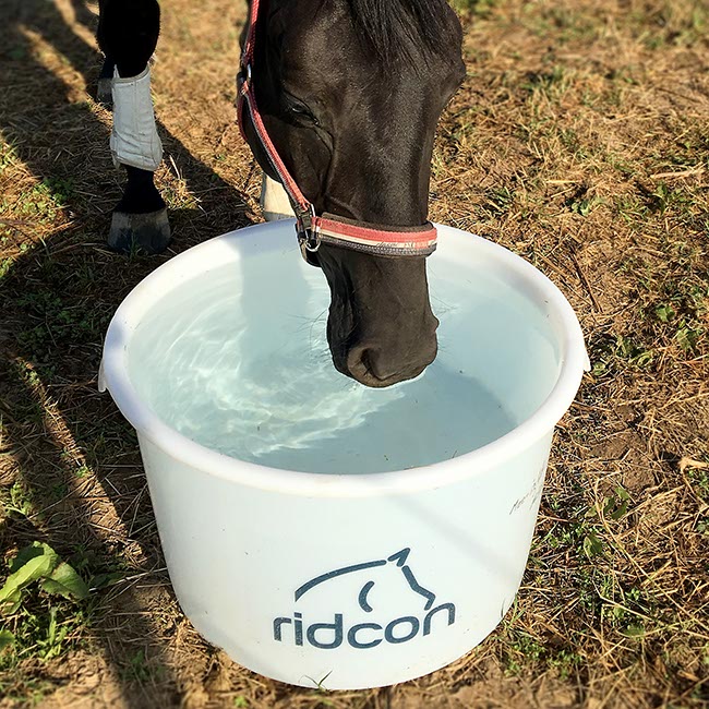 Futter- und Wasserbottich ''Gustav'' - 85 Liter Fassungsvermögen