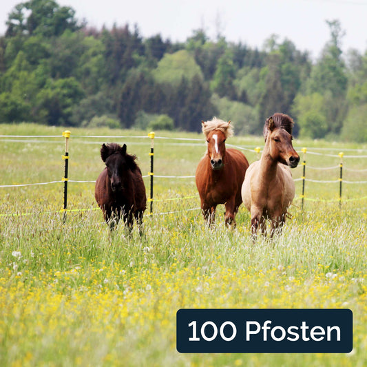 100x Metallpfahl T-Pfosten 167cm, ohne Isolatoren